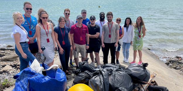 litter pick