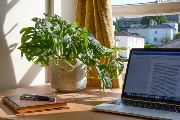 working from home pic